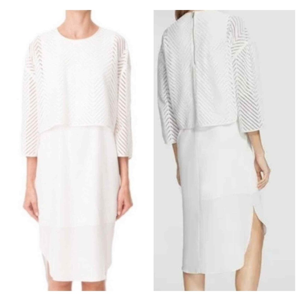 Tibi Open-Stitch Overlay Dress (S)